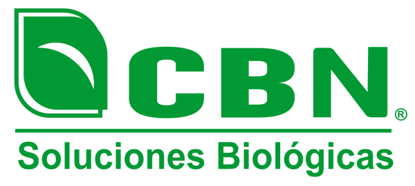 CBN